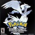 포켓몬스터 5세대 블랙 게임하기 Pokemon Black